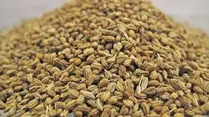 AJWAIN SEEDS 100GMS