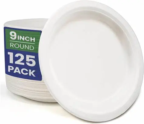 9" PLAIN DISPOSABLE PLATE