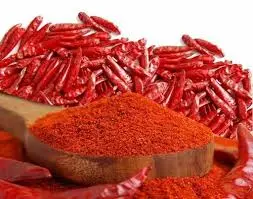 KASHMIRI CHILLI POWDER 100GMS