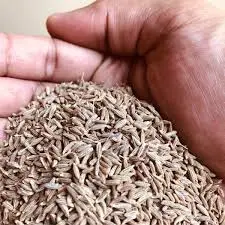 CUMIN POWDER 100GMS