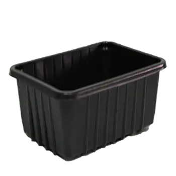 DEEP CONTAINER 450GMS
