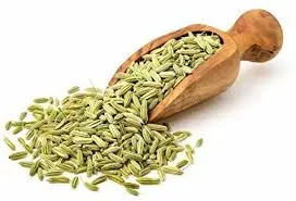 FENNEL SEEDS 100GMS