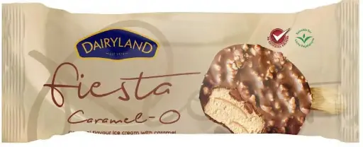 DAIRYLAND FIESTA CARAMEL 120ML