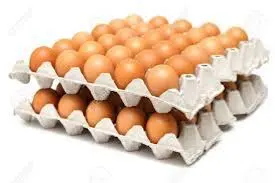 EGGS TRAY