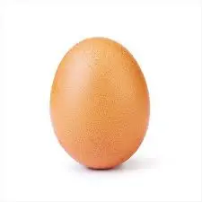 EGGS 1PC